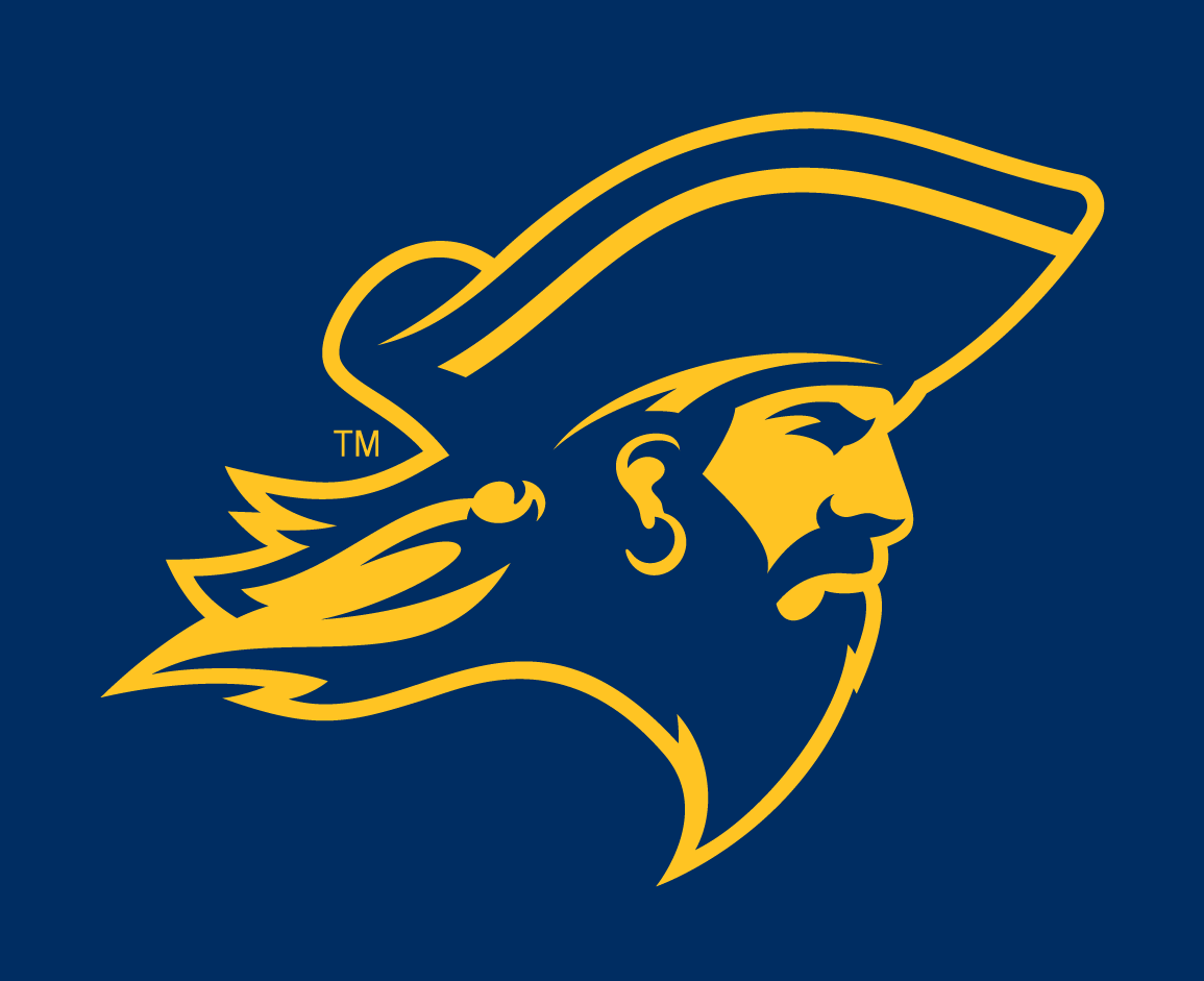 ETSU Buccaneers 2014-Pres Partial Logo v4 iron on transfers for clothing